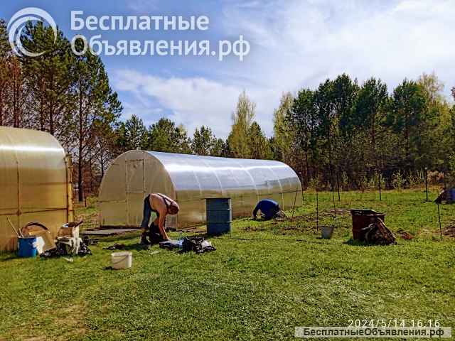 Ремонт теплицы замена поликарбоната