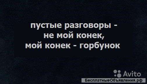 Грузчики, которых вы искали