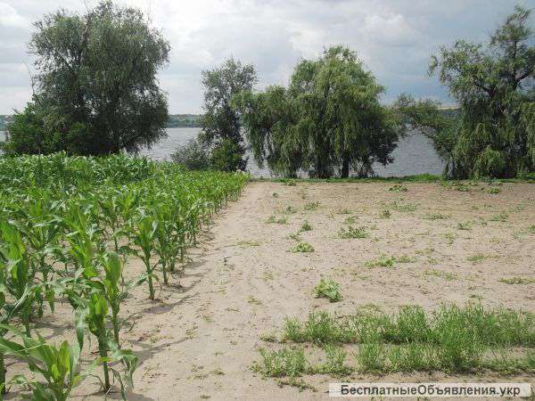 Дом за городом