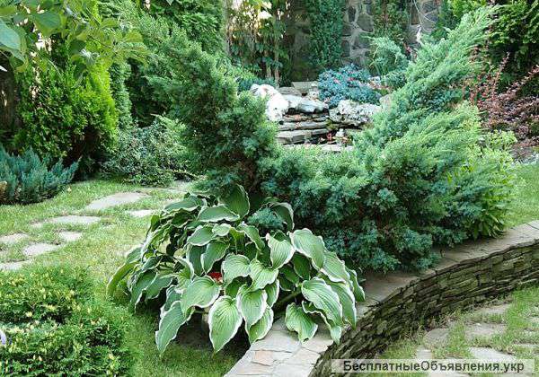 Ландшафтный дизайн и благоустройство под ключ