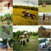 Тренер по верховой езде, конкурсы, выездке в ЧК Бородино