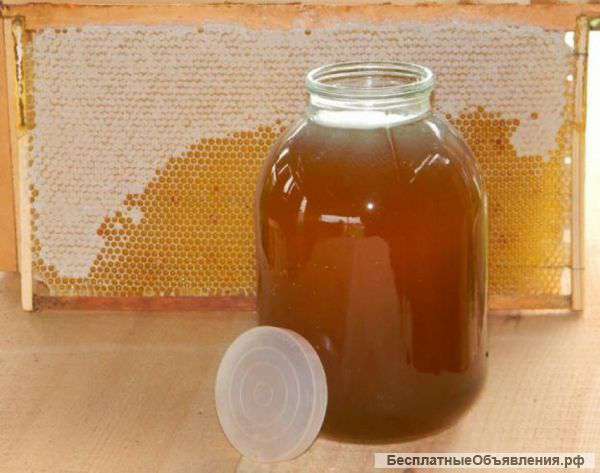 Натуральный мёд в химках