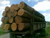 Лес кругляк и Пиловочник. Доставка по СПб и ЛО. Цена по договоренности