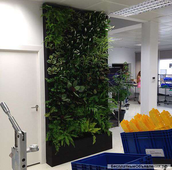 Бизнес на вертикальном озеленении (технологии, видеокурсы)