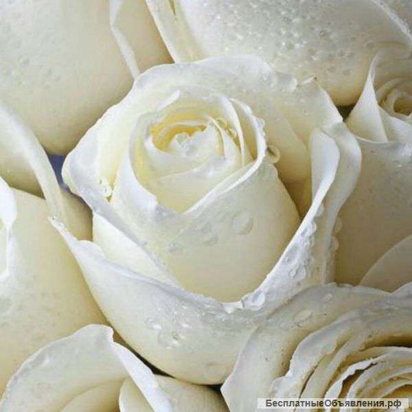 Свадебные платья