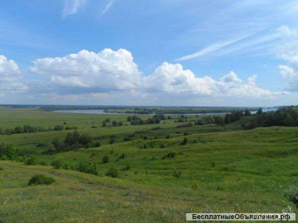 Дом 50 м² на участке 12 сот.