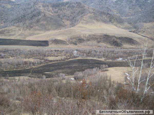 Участок на берегу в горном алтае