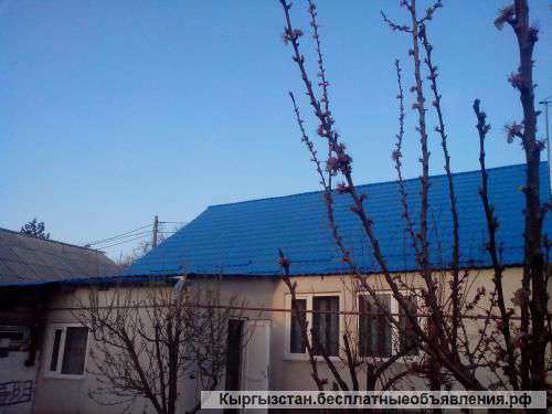 Не упустите свой шанс