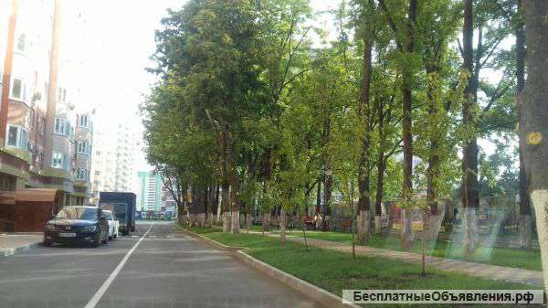 Квартира с ремонтом в ЖК Панорама