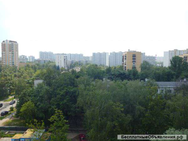 Однокомнатная квартира