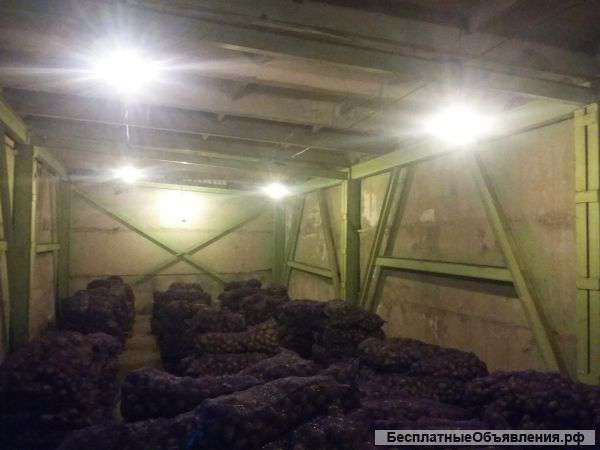 Картофеля оптом