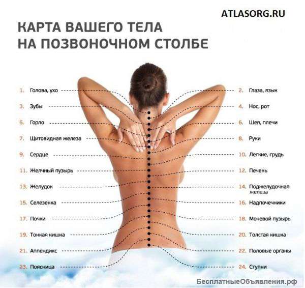 Требуется медицинский работник с высшим образованием
