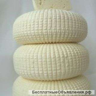 Сыр Осетинский