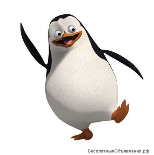 Компьютер без вирусов — установка Linux Ubuntu