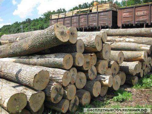 Куплю кругляк липа