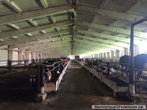 Животноводческого комплекса