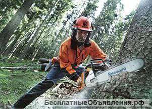 Спил деревьев или веток, корчевание пней, уборка участков