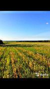 Земельный участок ИЖС недорого в живописном месте