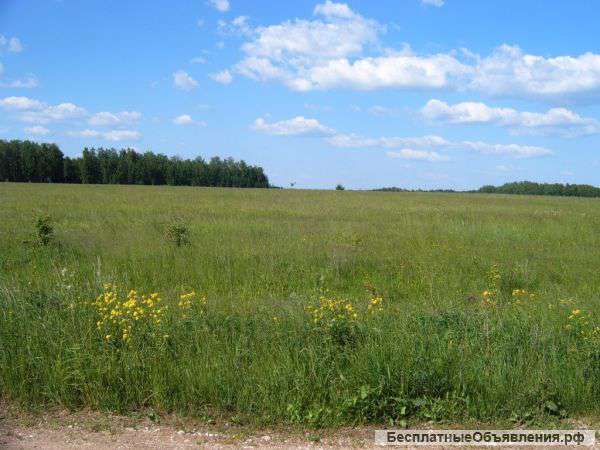 Земельный участок