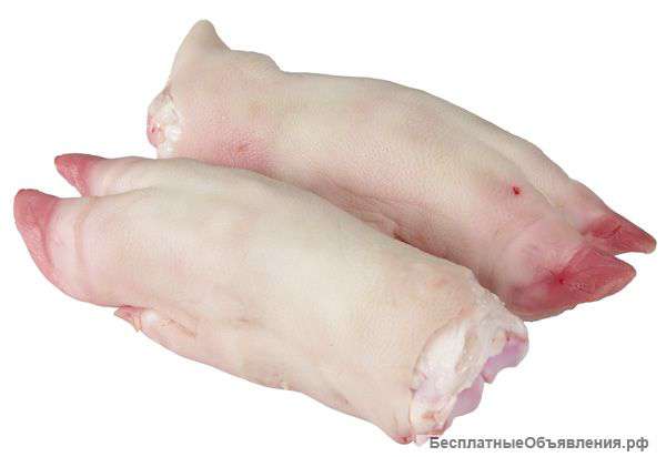 Закупка субпродуктов оптом из стран СНГ