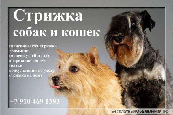 Тримминг. Груминг.