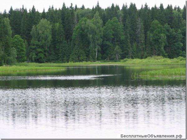 СНТ Филиппины дачный поселок