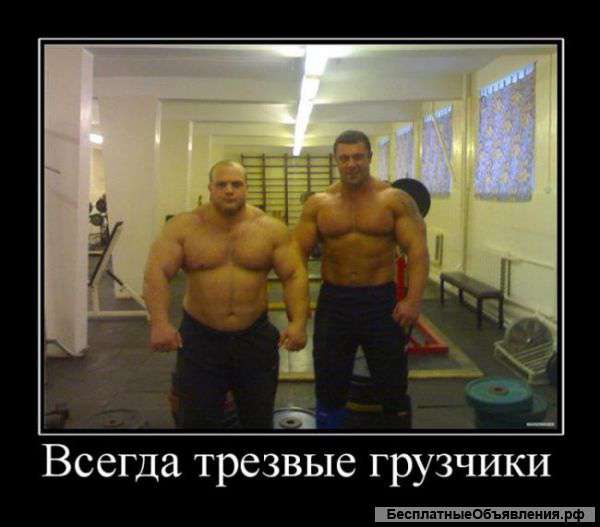 Квалифицированные грузчики
