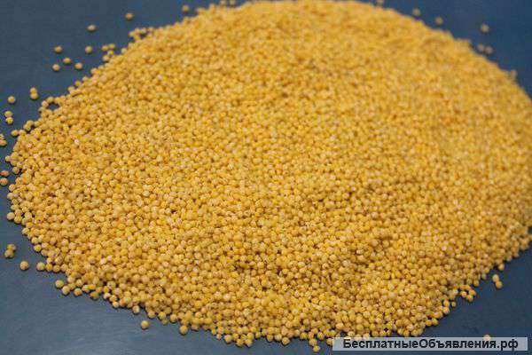 Пшено ГОСТ 572-60 оптом