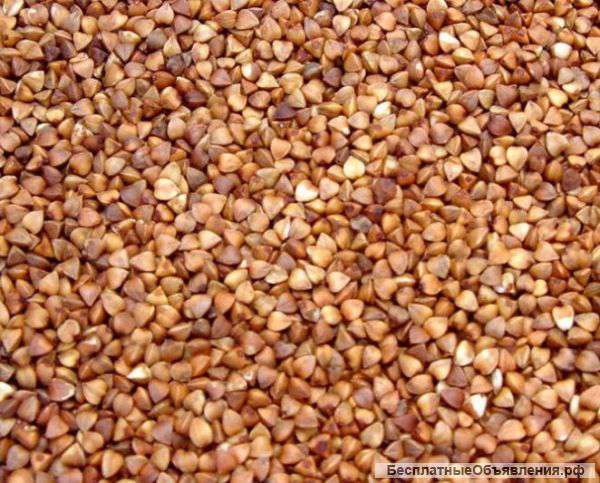 Гречка-крупа ядрица 1 сорт оптом