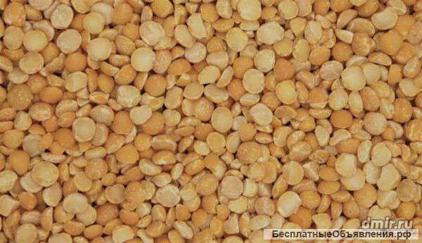 Горох шлифованный ГОСТ 6201-68 оптом