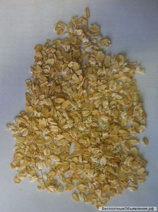 Овсяные хлопья «Геркулес» оптом
