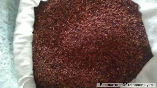 Семена суданской травы