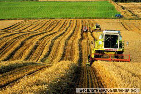 Минеральных удобрений