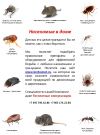 Препараты и оборудование по дезинсекции дератизации