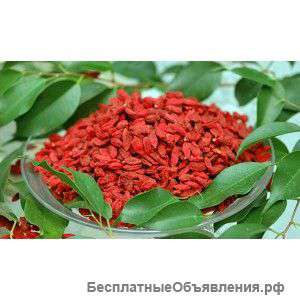 Продаю Ягоды Годжи оптом