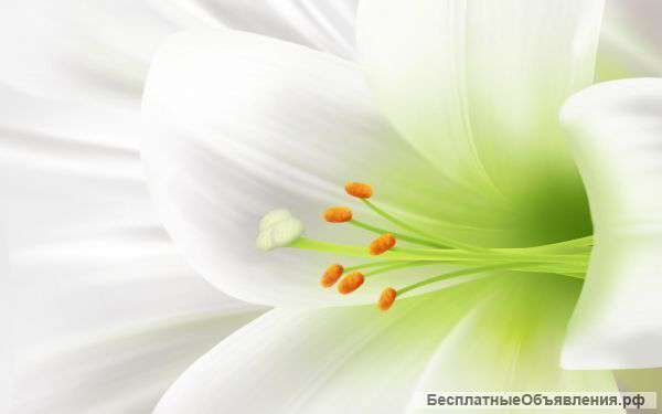 Репетитор биологии и химии