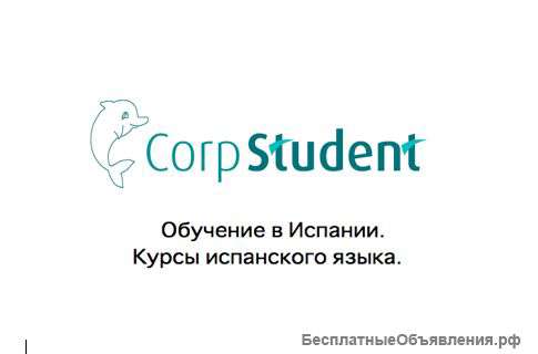 Обучение в Испании