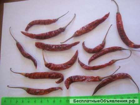 Специи из Индии