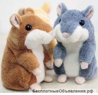 Говорящий хомяк повторюшка