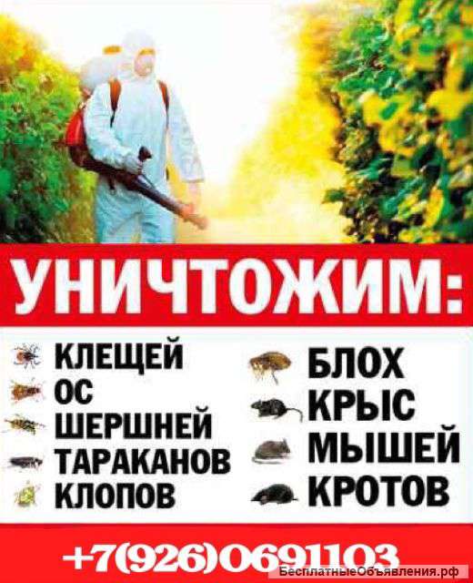 Частный мастер дезинфектор
