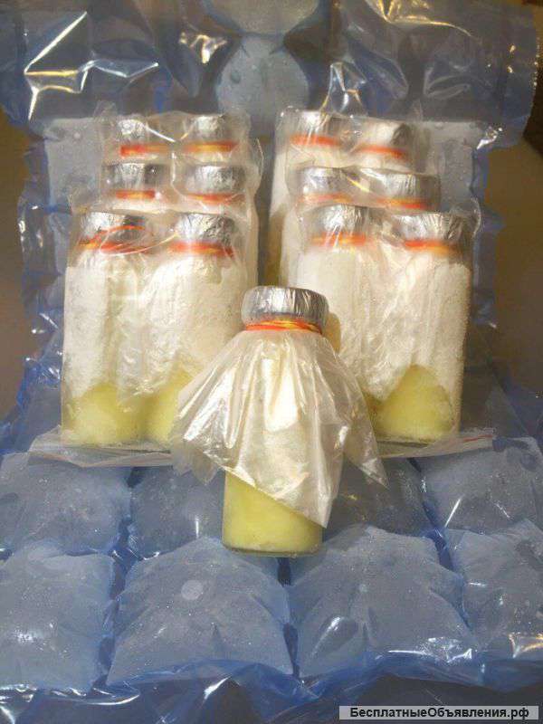 Пчелиное маточное молочко