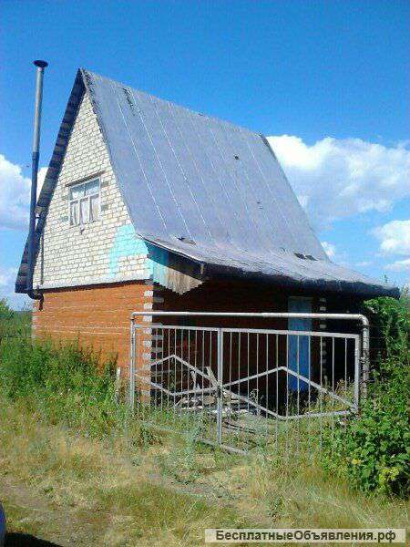 Красный Бор