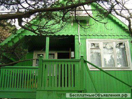 Недорогой отдых в Крыму. База отдыха "Дельфин"