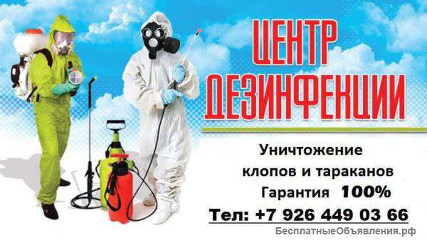 Уничтожение клопов и тараканов
