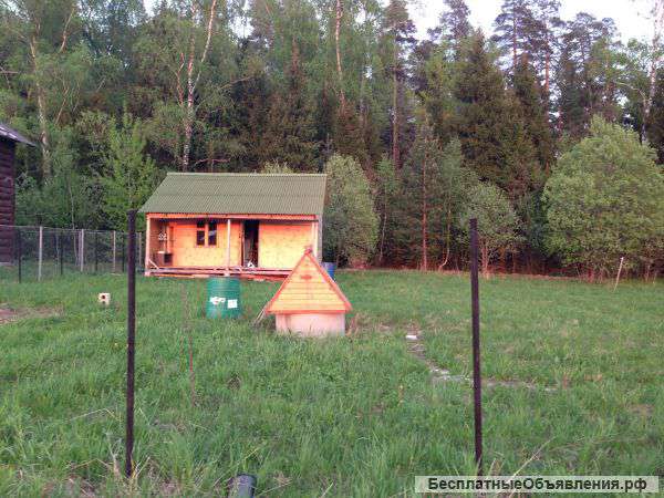 Дача у леса