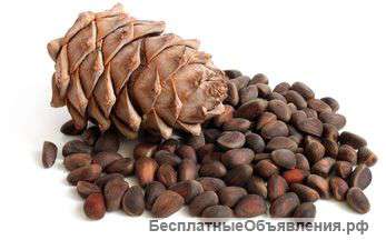 Требуется кедровый орех