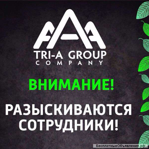 Требуются риэлторы