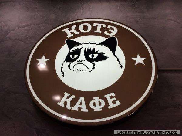 Бариста, менеджер сети кофеен