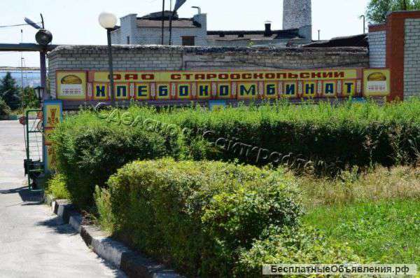 Хлебокомбинат