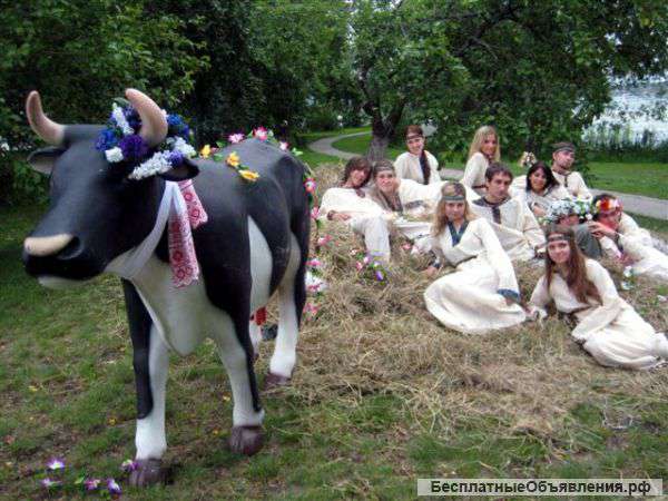 Аттракцион Дойная Корова